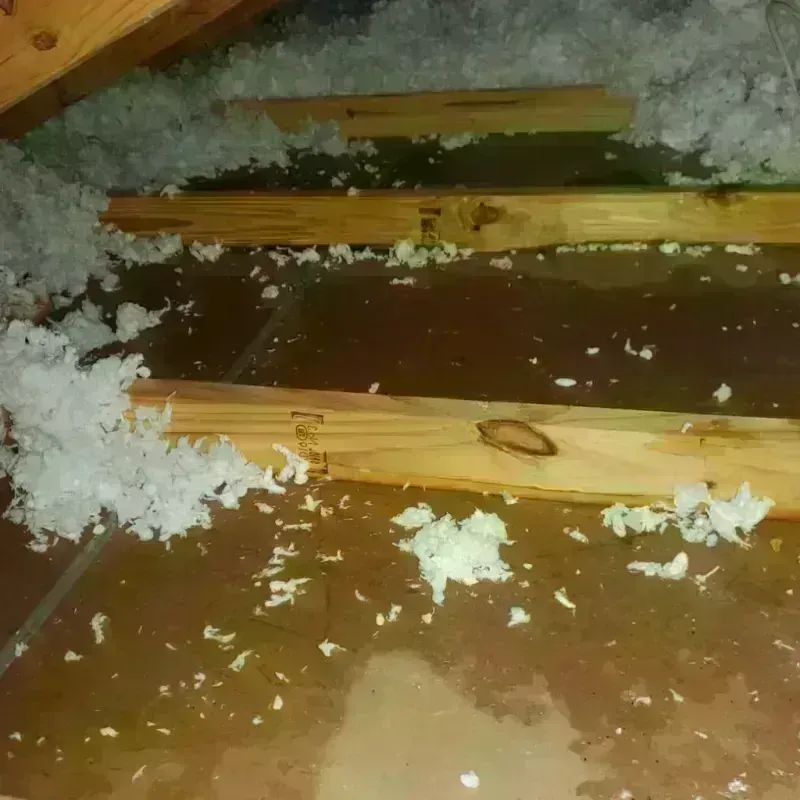 Attic Water Damage in White Hall, IL